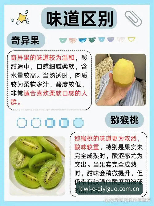 奇异果体育下载攻略：官网入口与安卓版最新版本完整指南